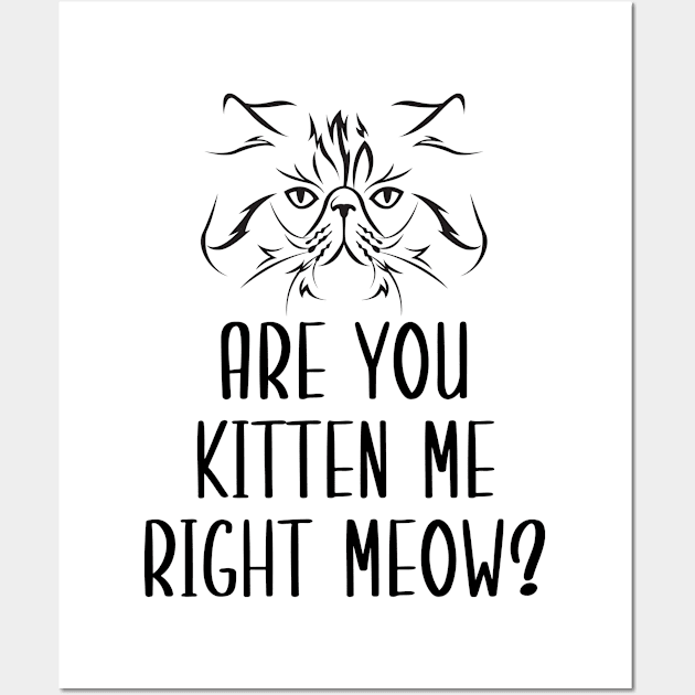 Are You Kitten Me Right Meow Wall Art by Health